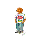 Canini
