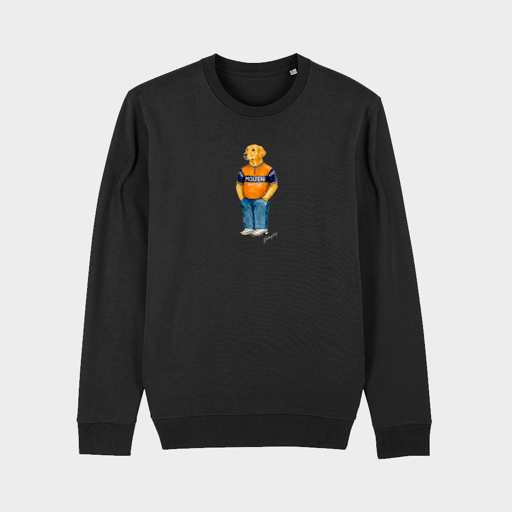 Golden Retriever | Printed crewneck sweatshirt
