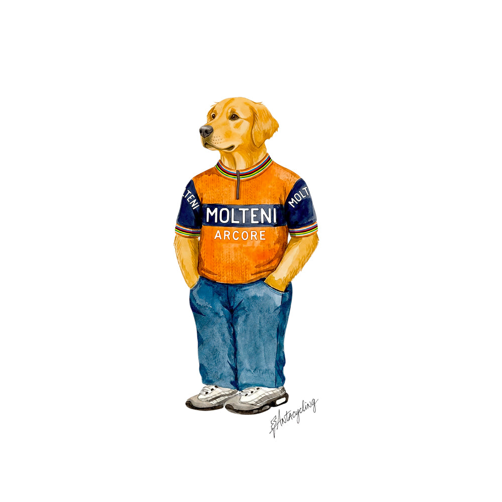 Golden Retriever | T-shirt stampata